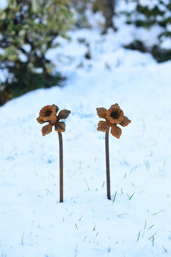 Rusty Metal Daffodil Flower