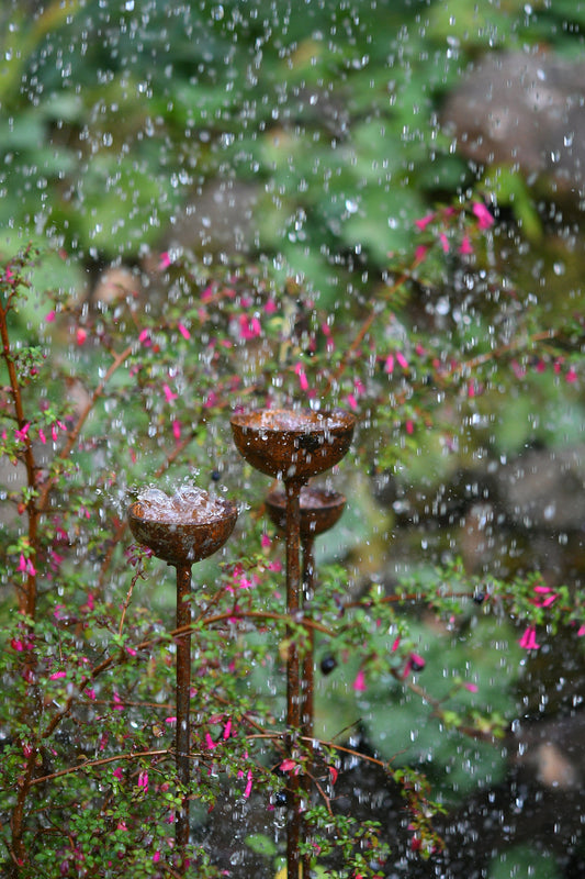Small Rain Catcher Trio