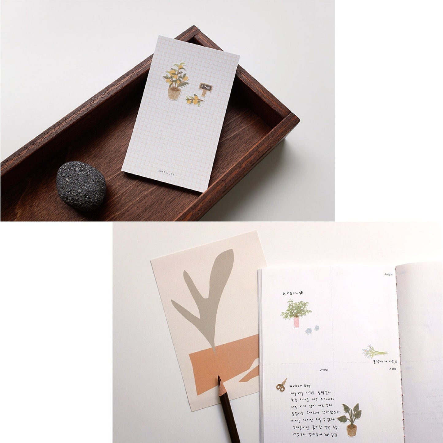 Suatelier | Flower Cafe
