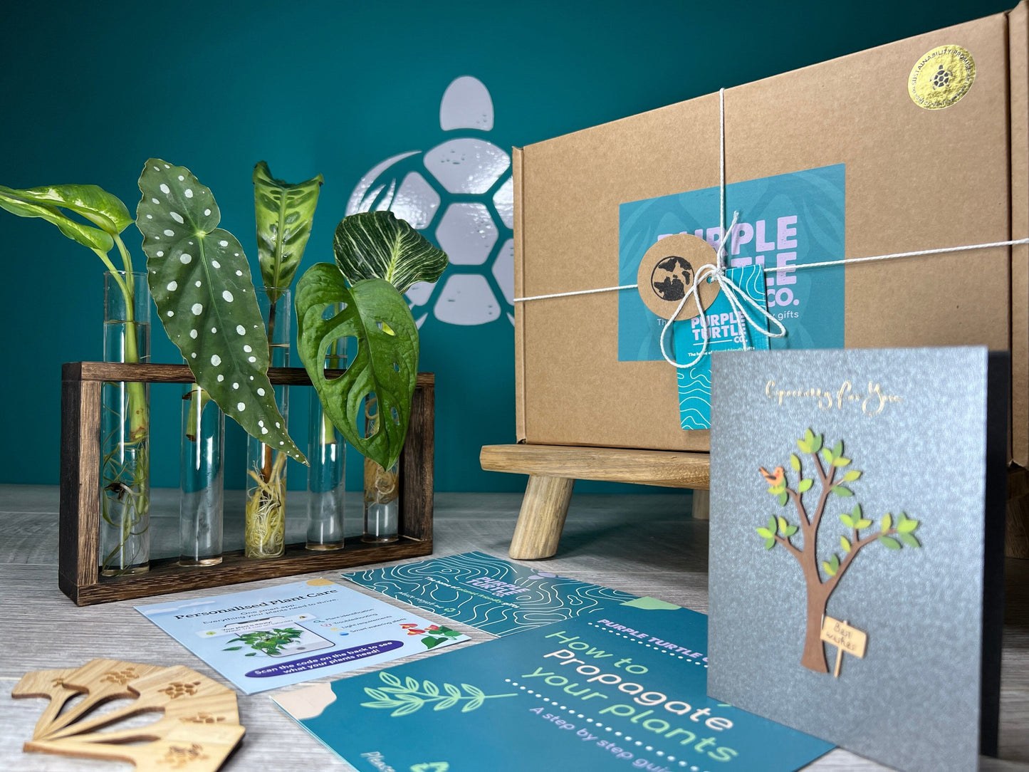 Plant Propagation Gift Set #7