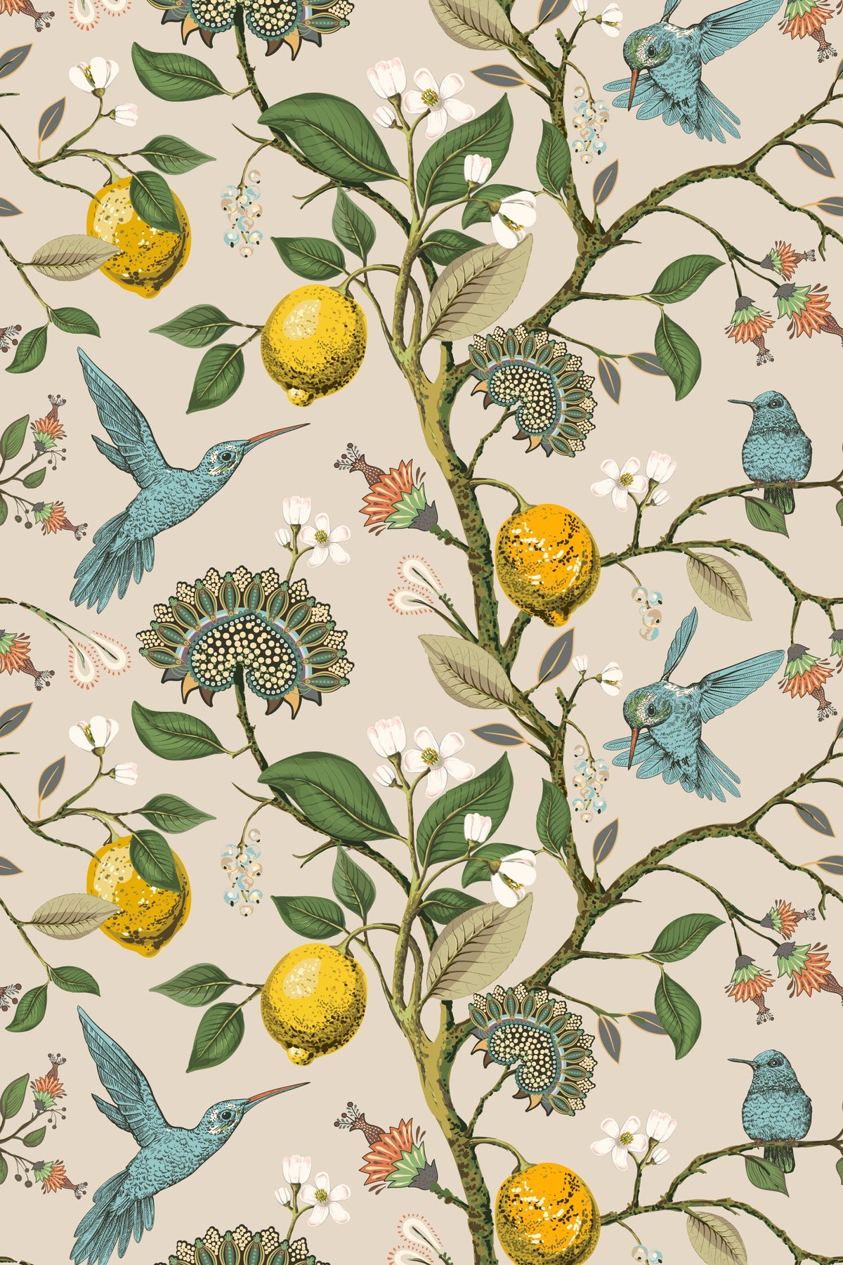 Lemon Grove Hummingbirds Wallpaper for Nursery or Kitchen | Peel and Stick or Traditional