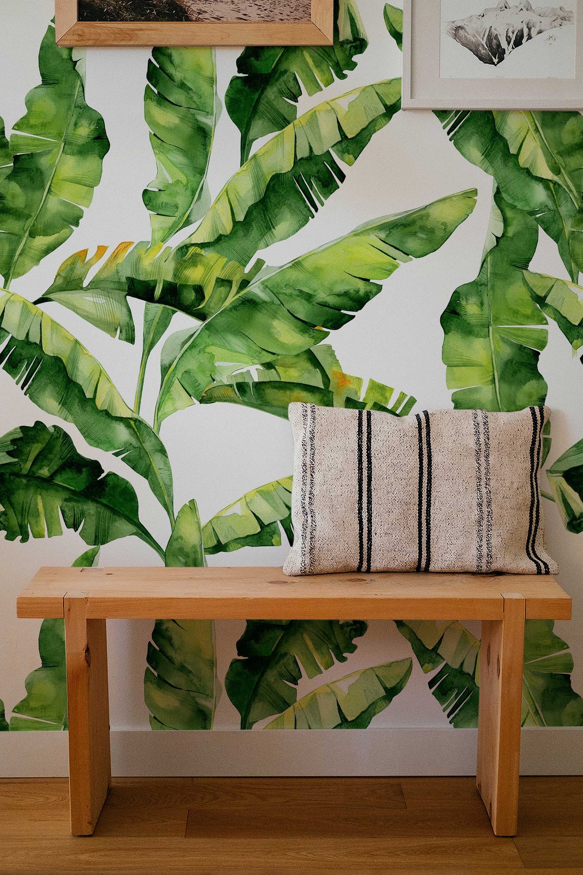 Banana Leaf Wallpaper | Peel and Stick or Traditional