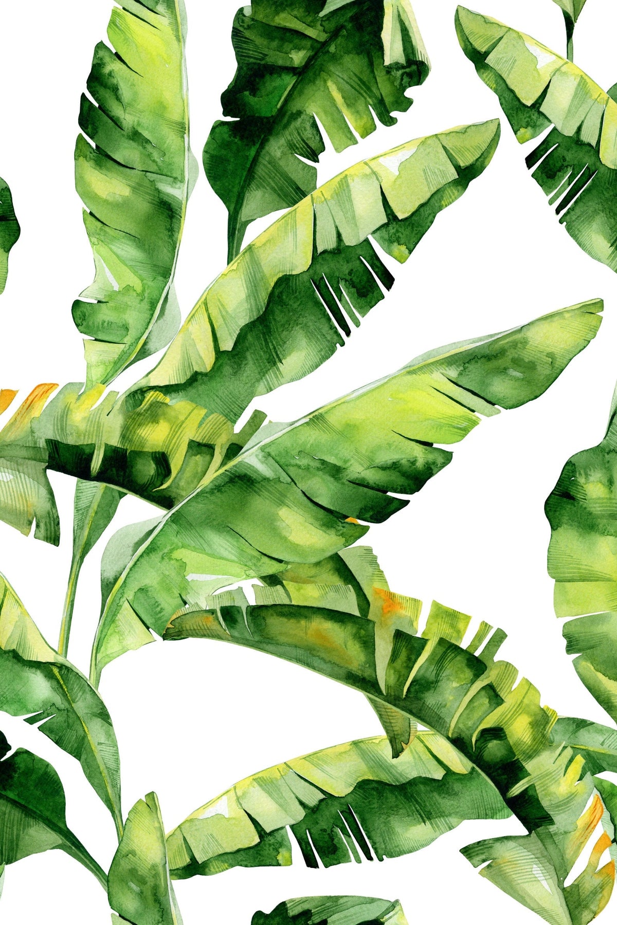 Banana Leaf Wallpaper | Peel and Stick or Traditional