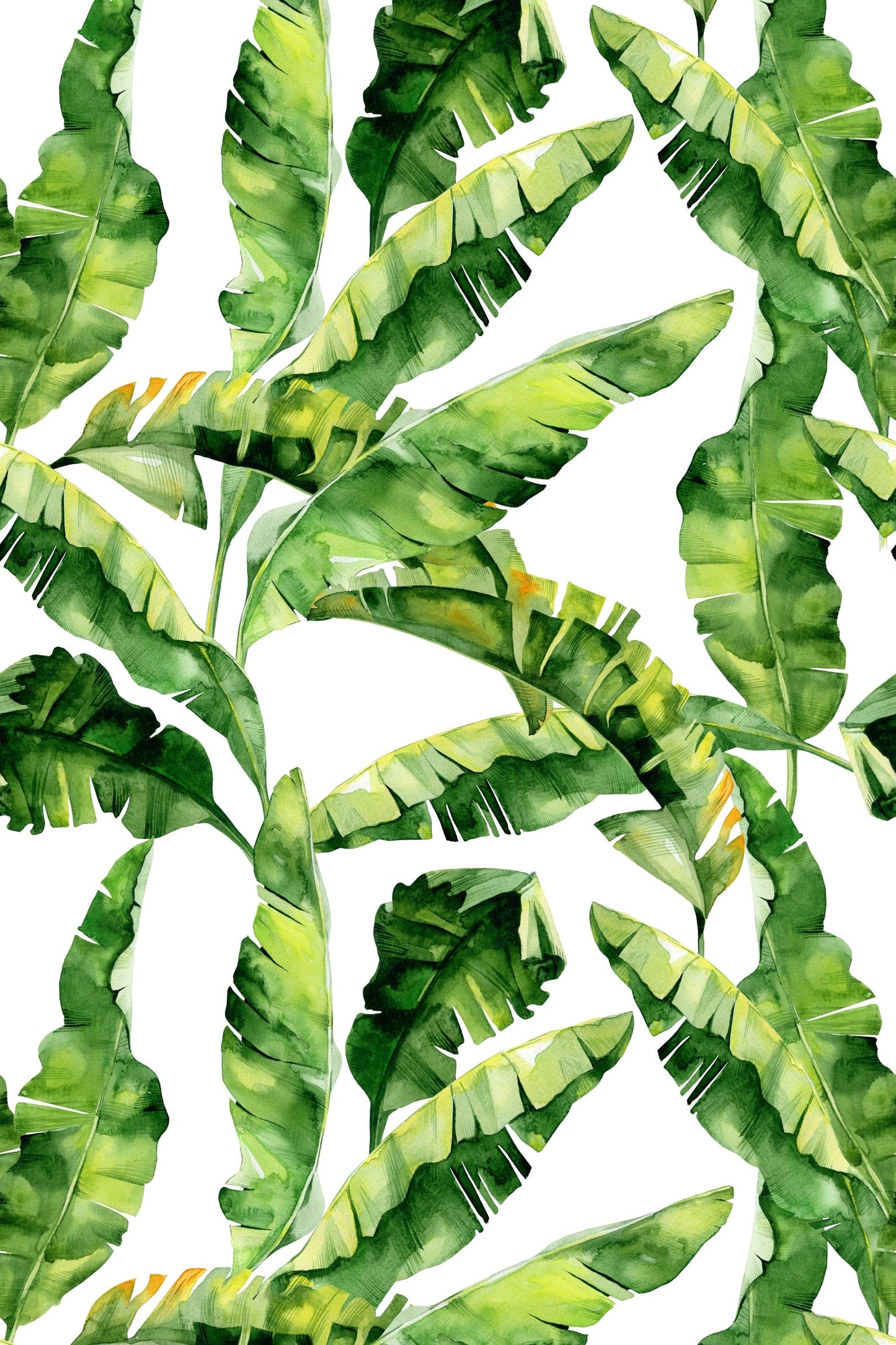 Banana Leaf Wallpaper Peel and Stick