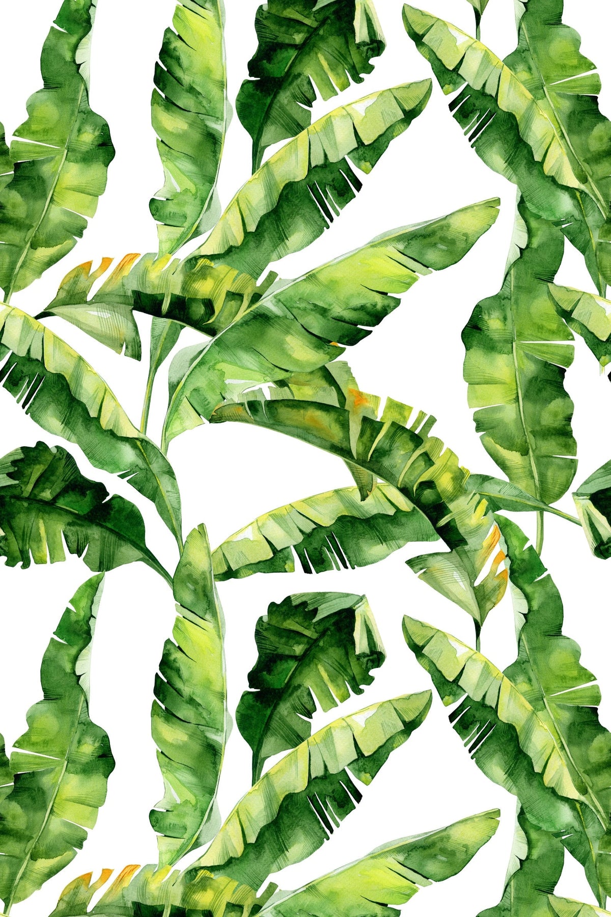 Banana Leaf Wallpaper | Peel and Stick or Traditional