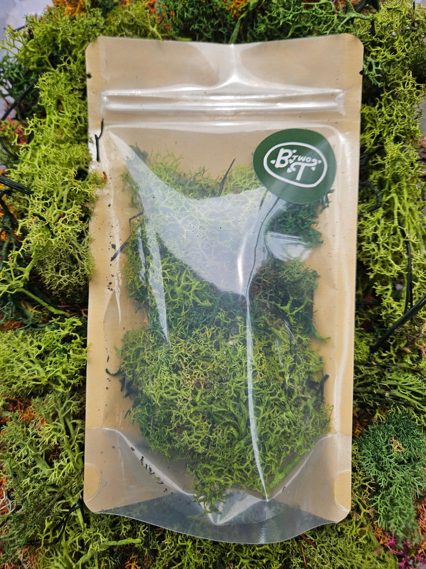 Decorative Reindeer Moss