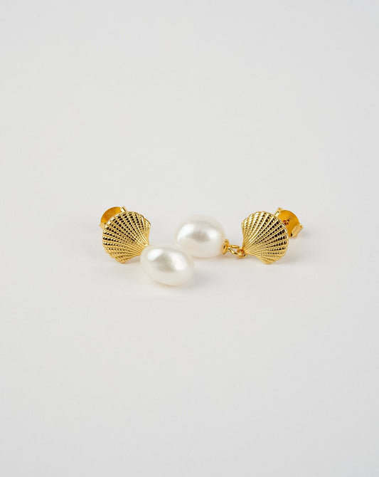 Sea Shell Pearl Earrings