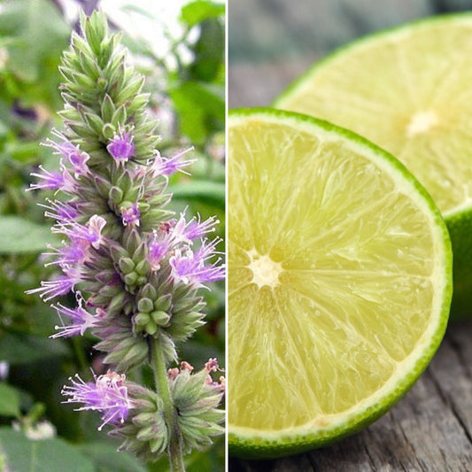Natural Deodorant Bar with Patchouli and Lime