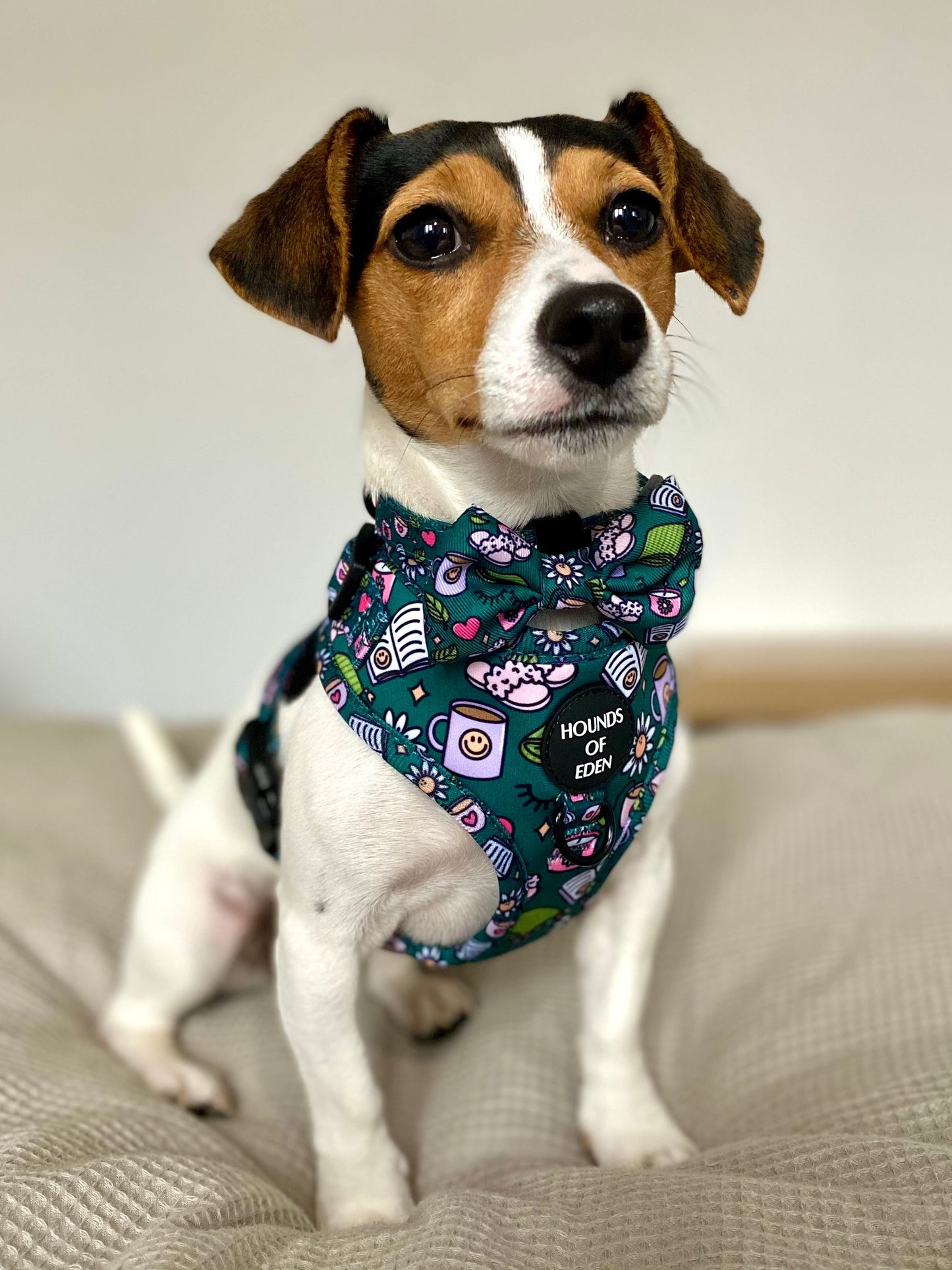 Self Care Design Dog Harness