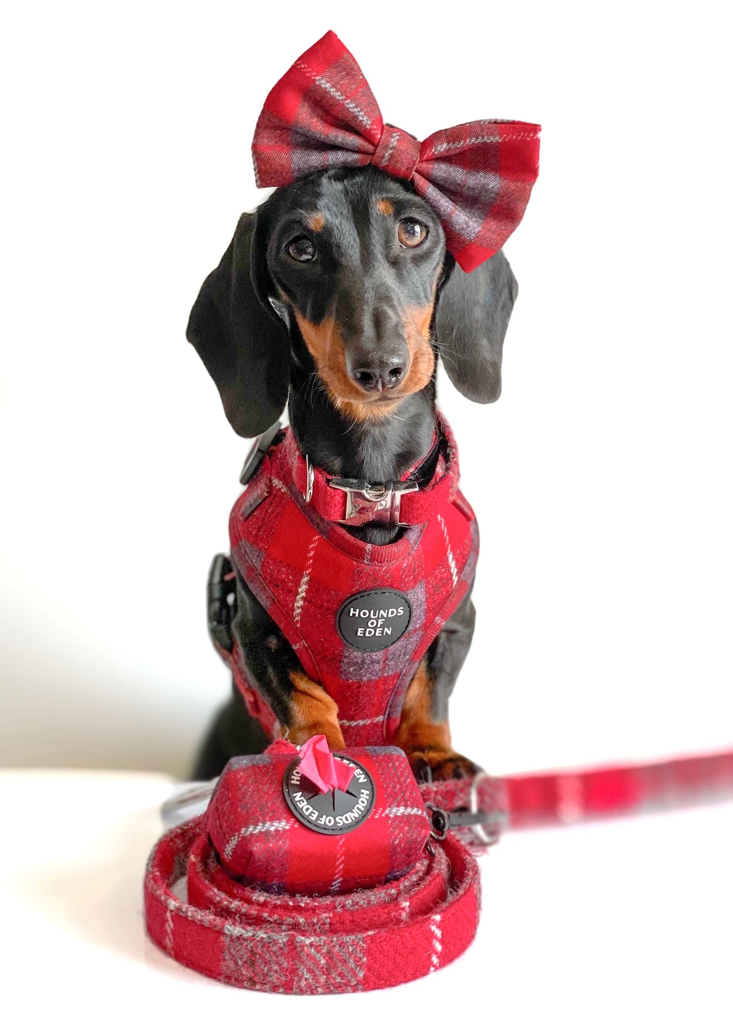 'Sammi' - Red & Grey Check Dog Harness