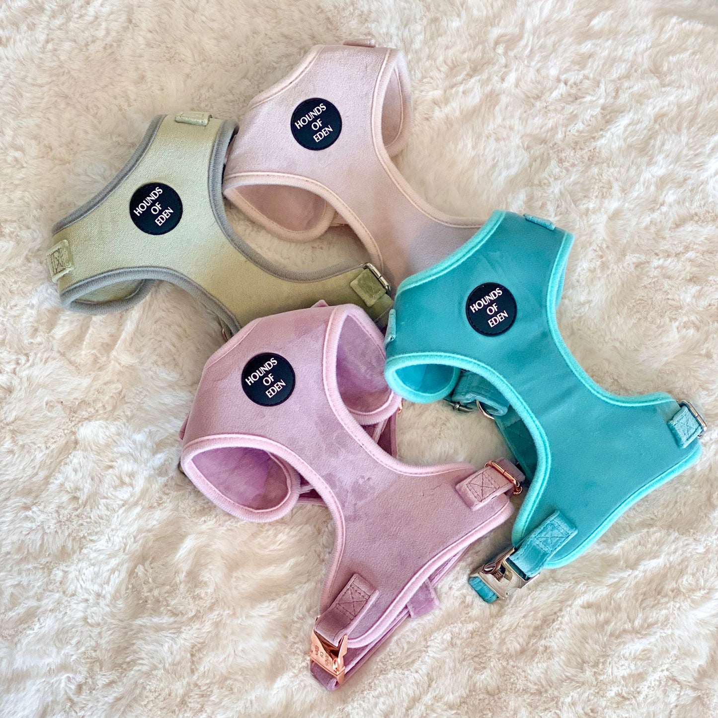 Tiffany's - Light Teal Velvet Dog Harness with Silver Metal Hardware