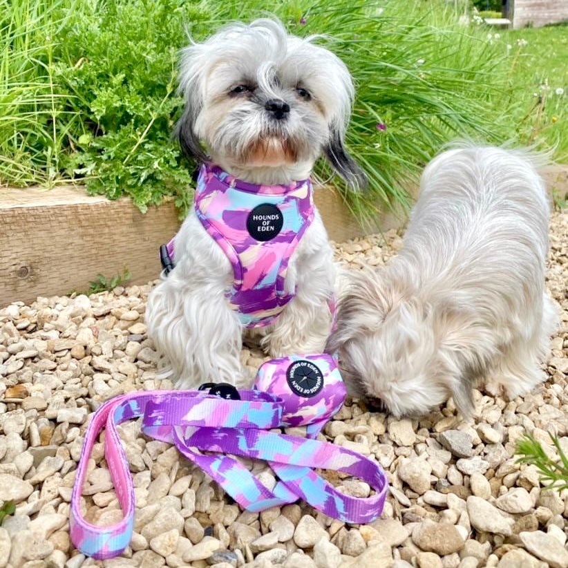 'Blush it Off' - Pink, Purple, Pastel Mint & Lemon Camo Pattern Dog Harness