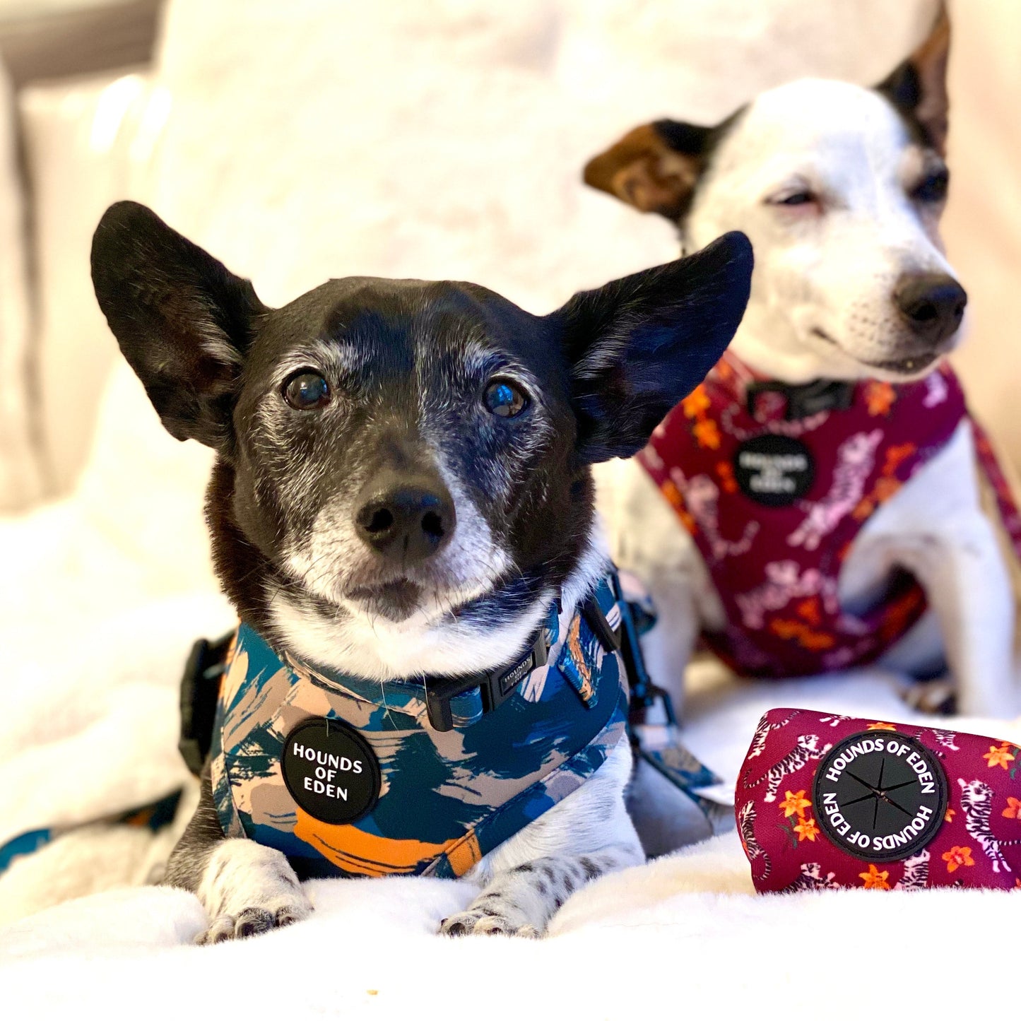 'Brush it Off' - Olive, Blue & Orange Camo Pattern Dog Harness
