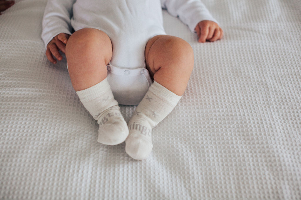 Lamington Crew Socks - Fox