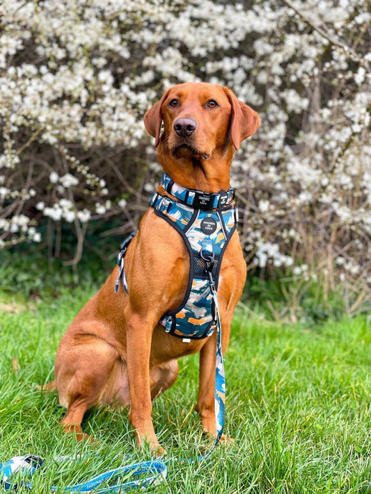 Supaw Strong™ 'Brush It Off' Utility Harness