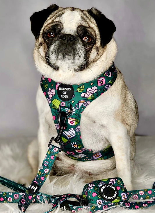 Self Care Design Dog Harness