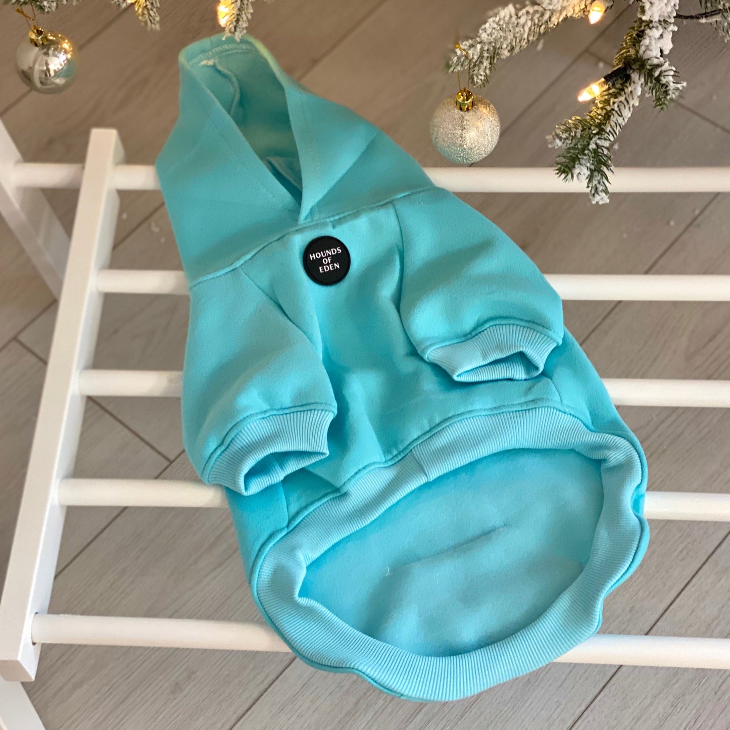Dog Hoodie - Light Teal