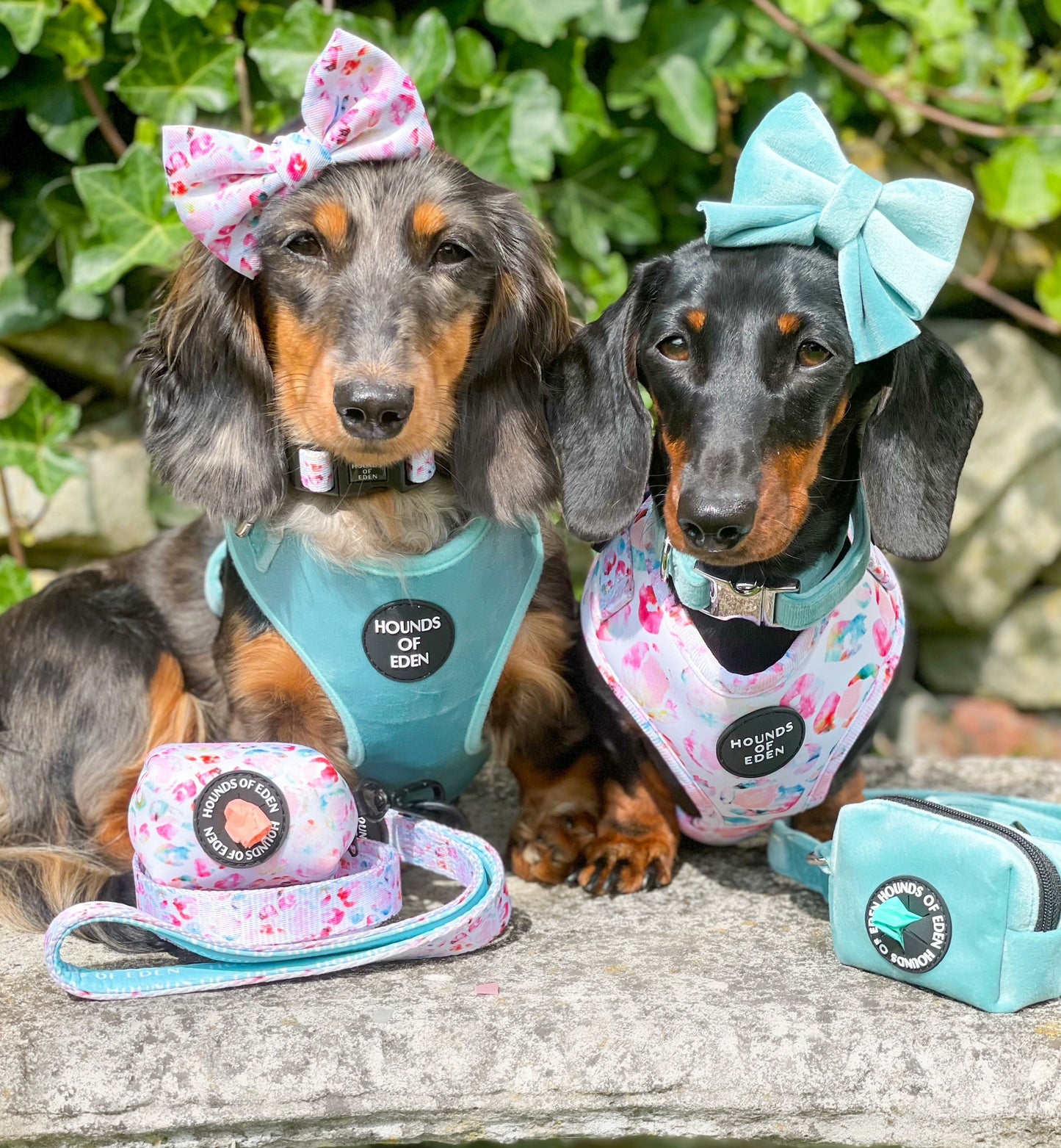 Tiffany's - Light Teal Velvet Dog Harness with Silver Metal Hardware