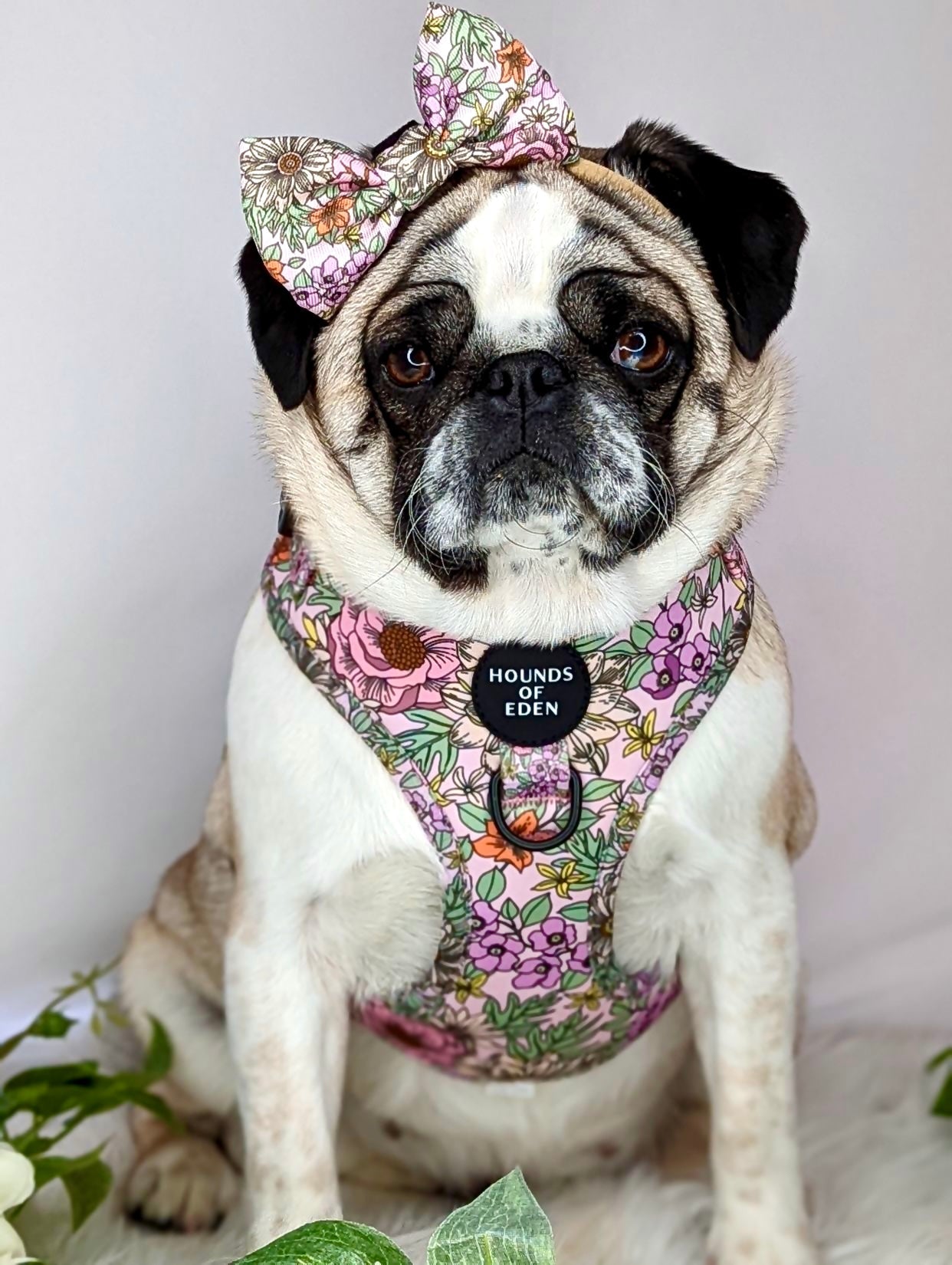 Wild Blossom- Design Dog Harness