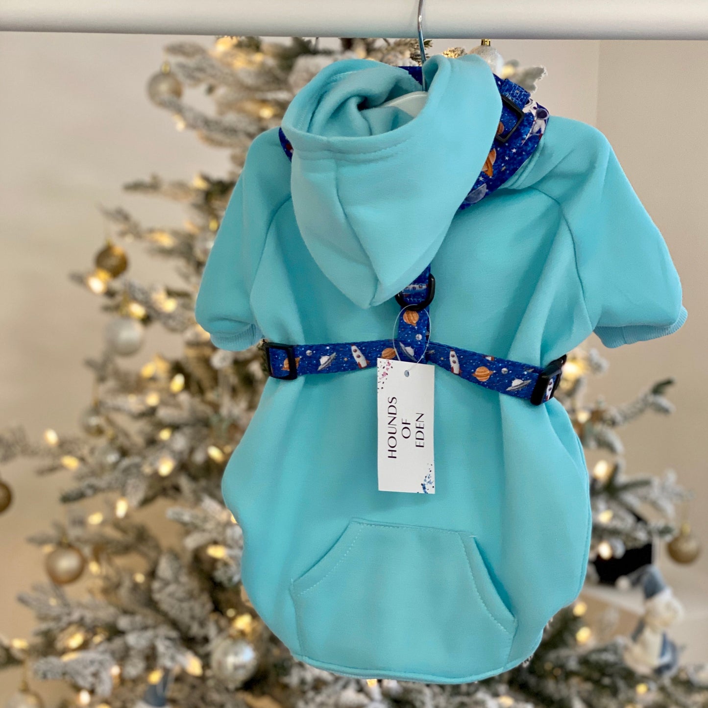 Dog Hoodie - Light Teal