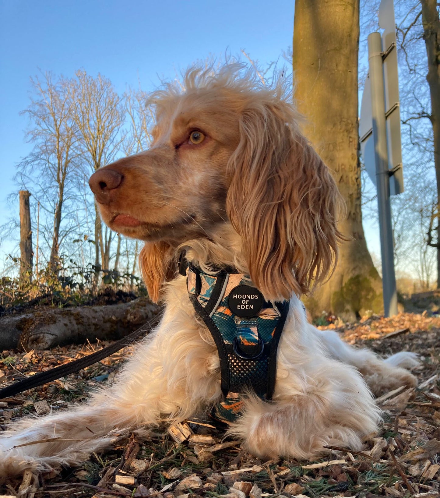 Supaw Strong™ 'Brush It Off' Utility Harness