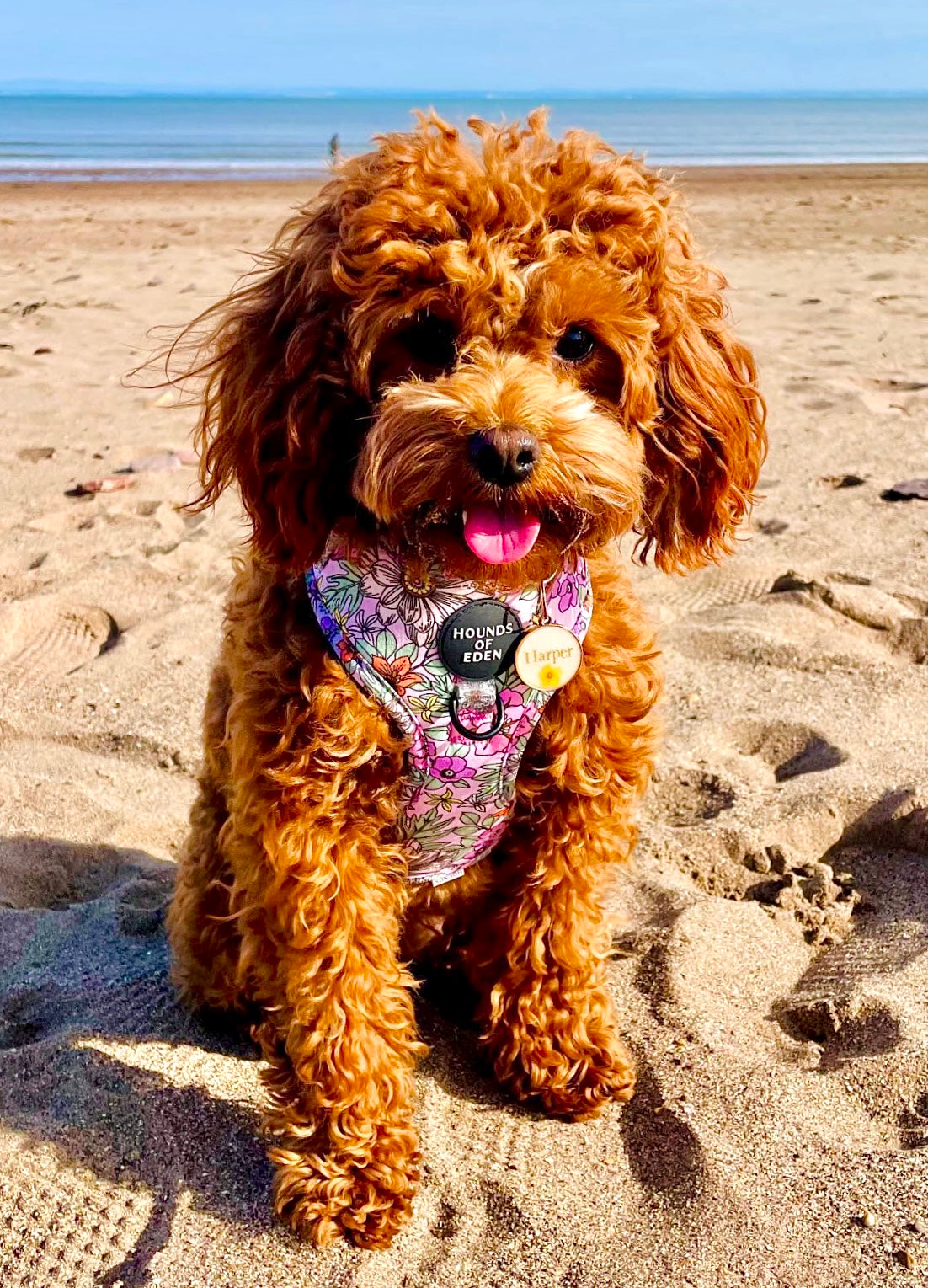 Wild Blossom- Design Dog Harness