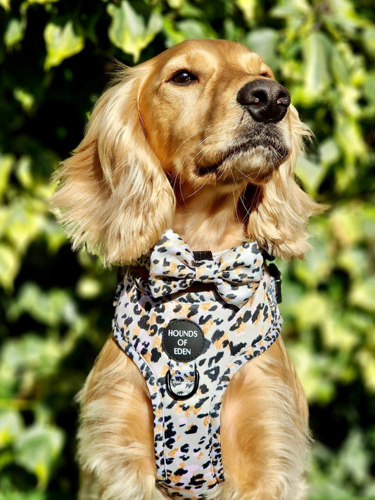 Sage Leopard Design Dog Harness