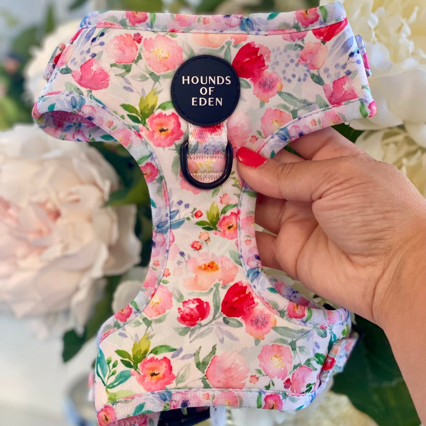 Ziggy's Secret Garden Design Dog Harness