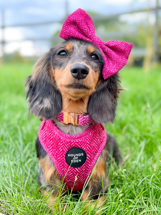 'Bella' - Pink Herringbone Dog Harness