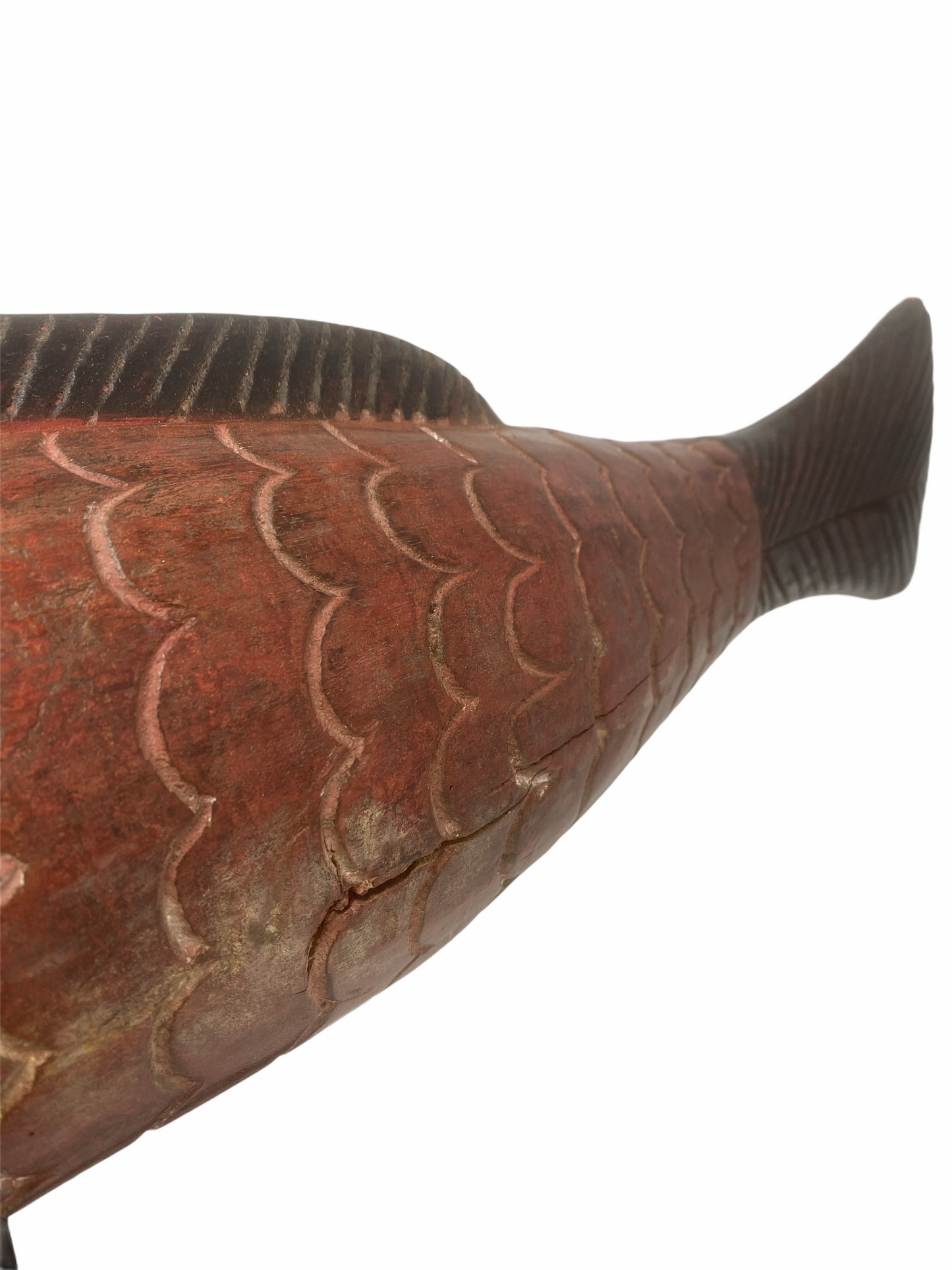 Puppet Fish Mali -  Large