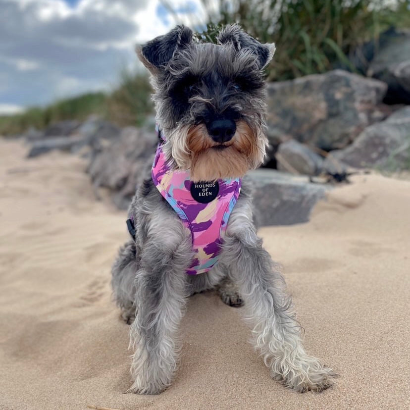 'Blush it Off' - Pink, Purple, Pastel Mint & Lemon Camo Pattern Dog Harness