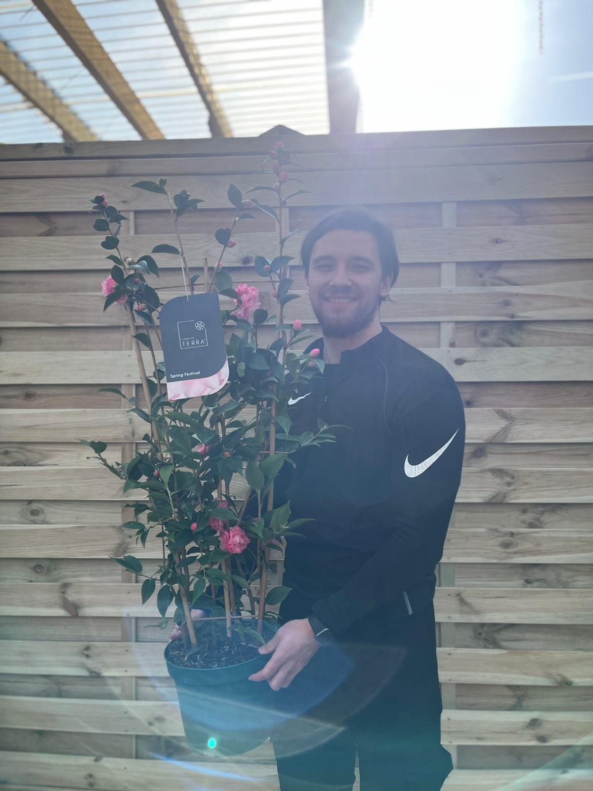 Camellia on frame 'Spring Festival ' 2L/5L