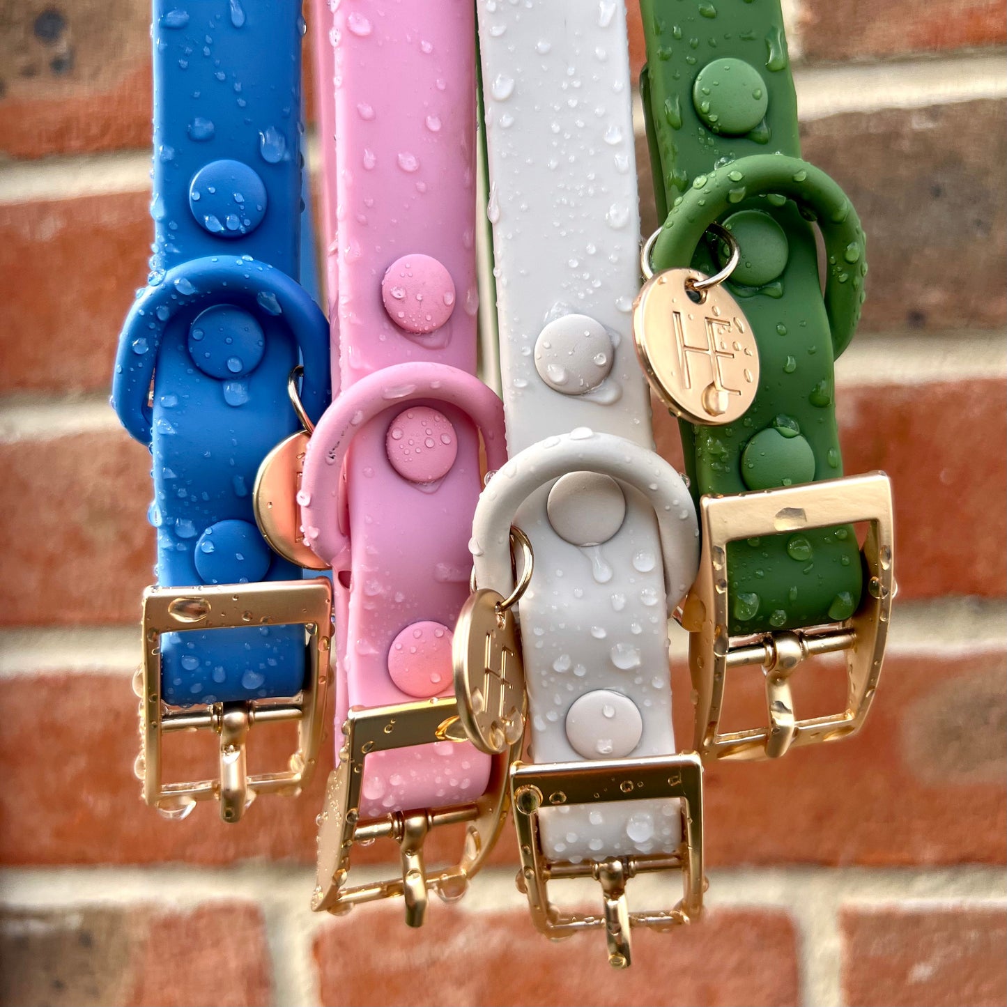 Forest Green 'All Weather'Dog Lead