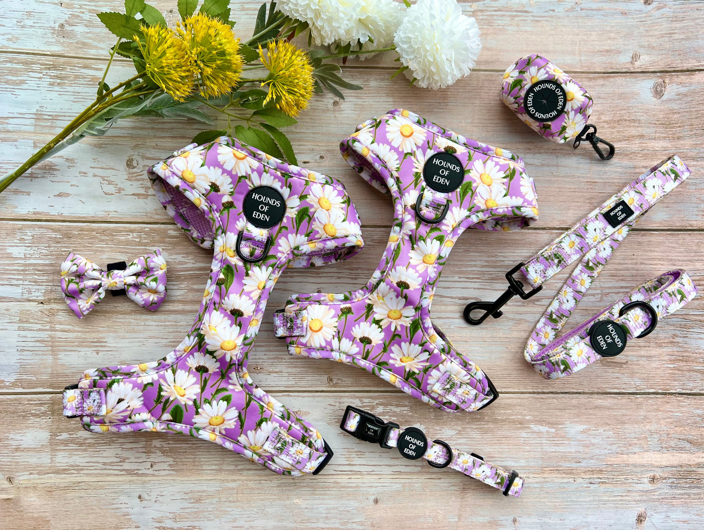 Daisy Dreams Design Dog Lead