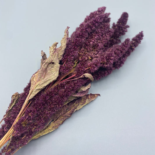 Red Amaranth Sprays