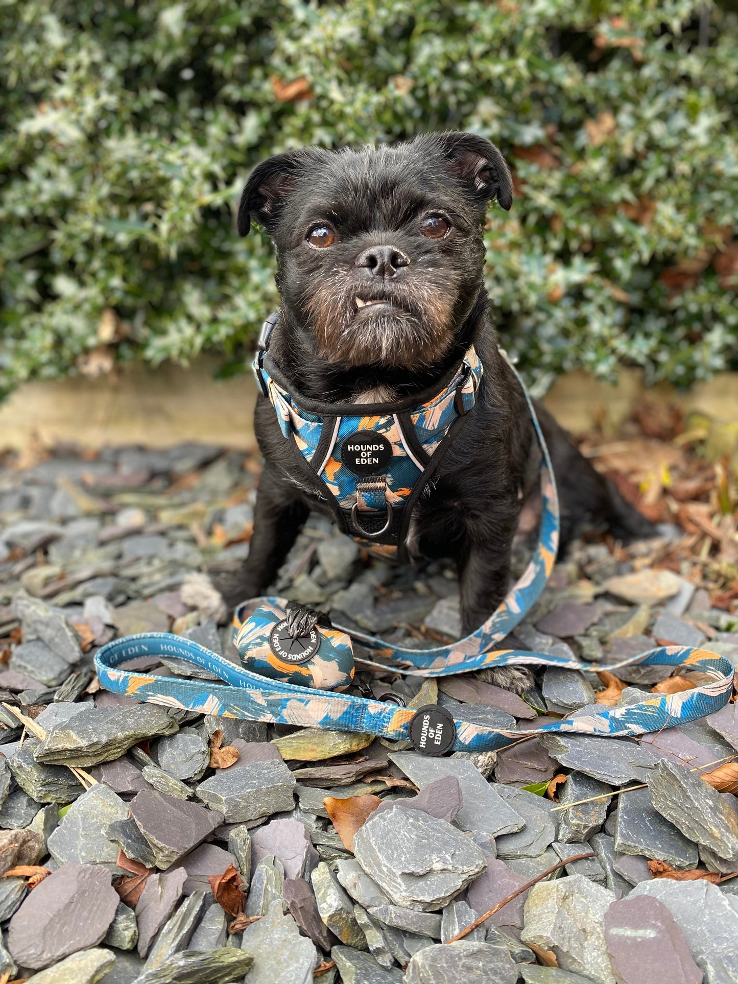 Supaw Strong™ 'Brush It Off' Utility Harness