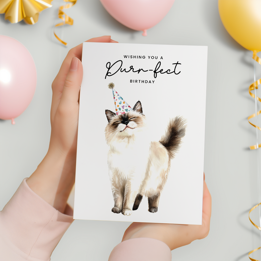 Ragdoll Cat Birthday Card – Cute Cat Lover Card with Party Hat – Purr-fect Birthday Greeting Card for Cat Owners