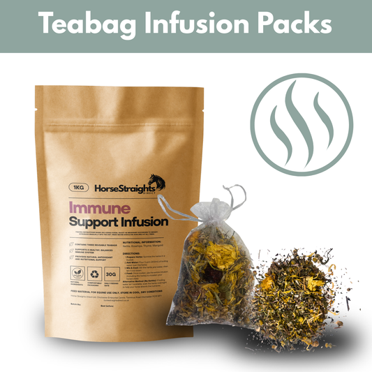 Immune Support Infusion (Reusable Teabags)