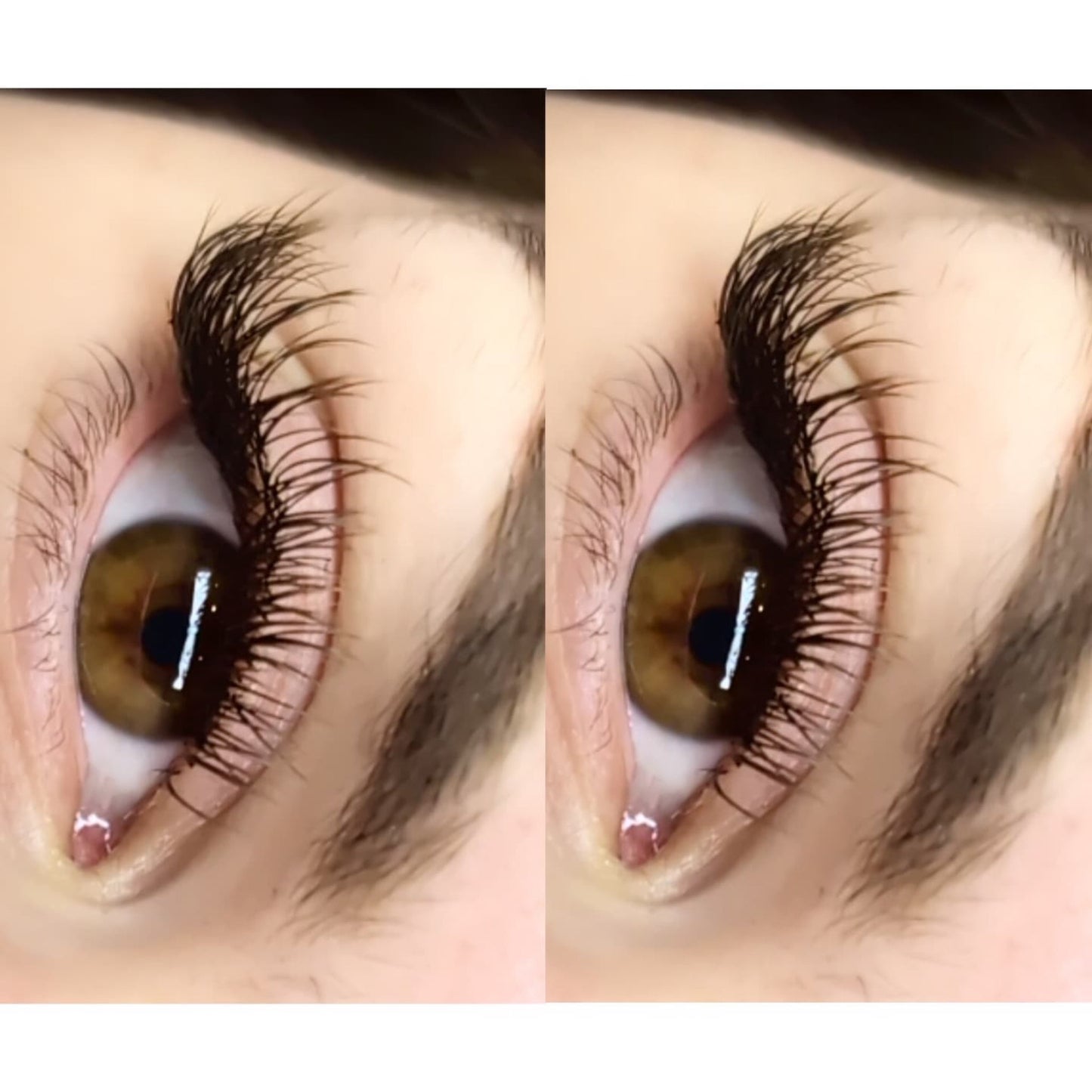 Brown Cashmere Flat Classic Lashes – Mixed Tray