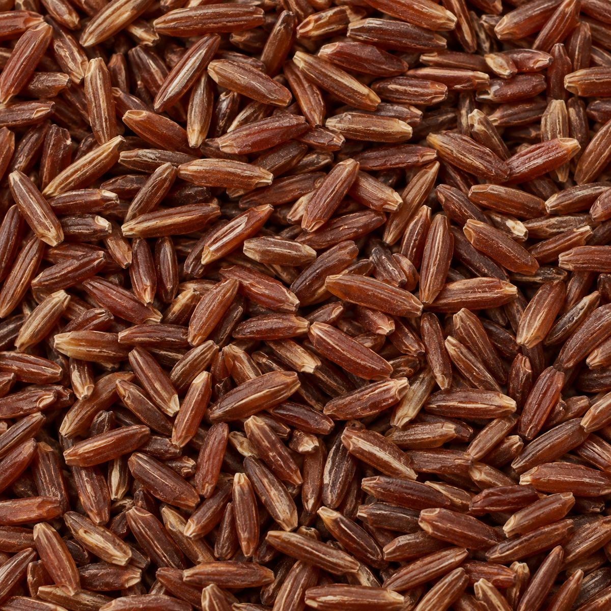 Infinity Foods Organic Camargue Red Rice