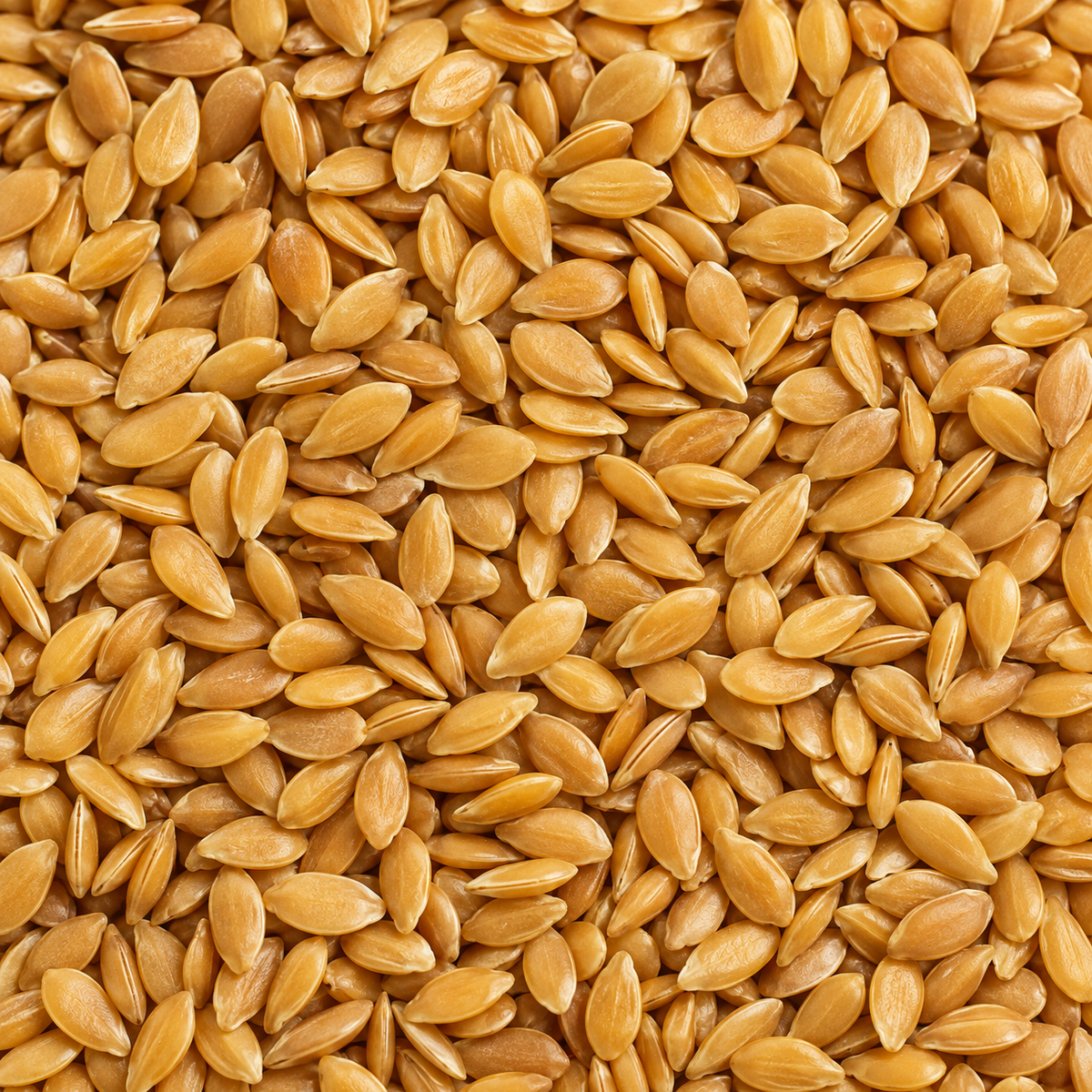 Infinity Foods Organic Golden Linseed (Flaxseed)