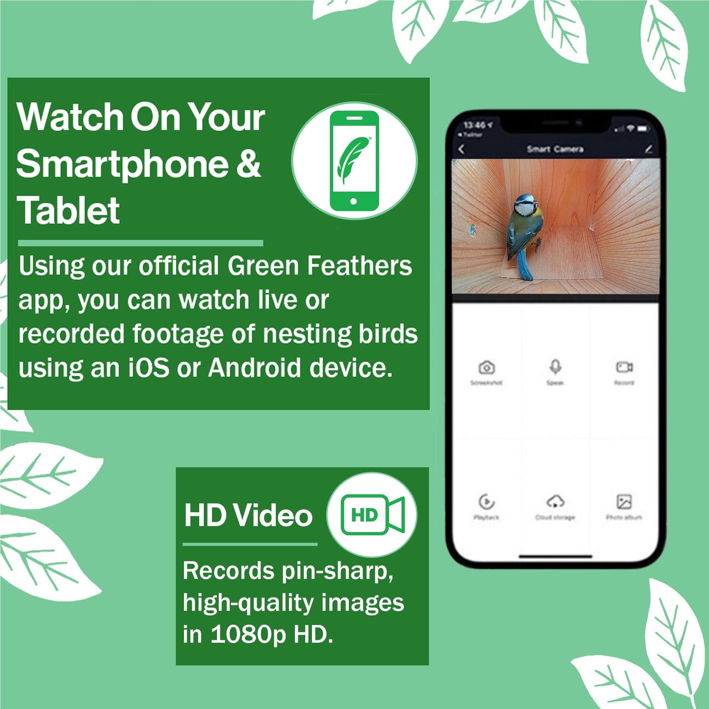 WiFi Side View Bird Box Camera Complete Pack