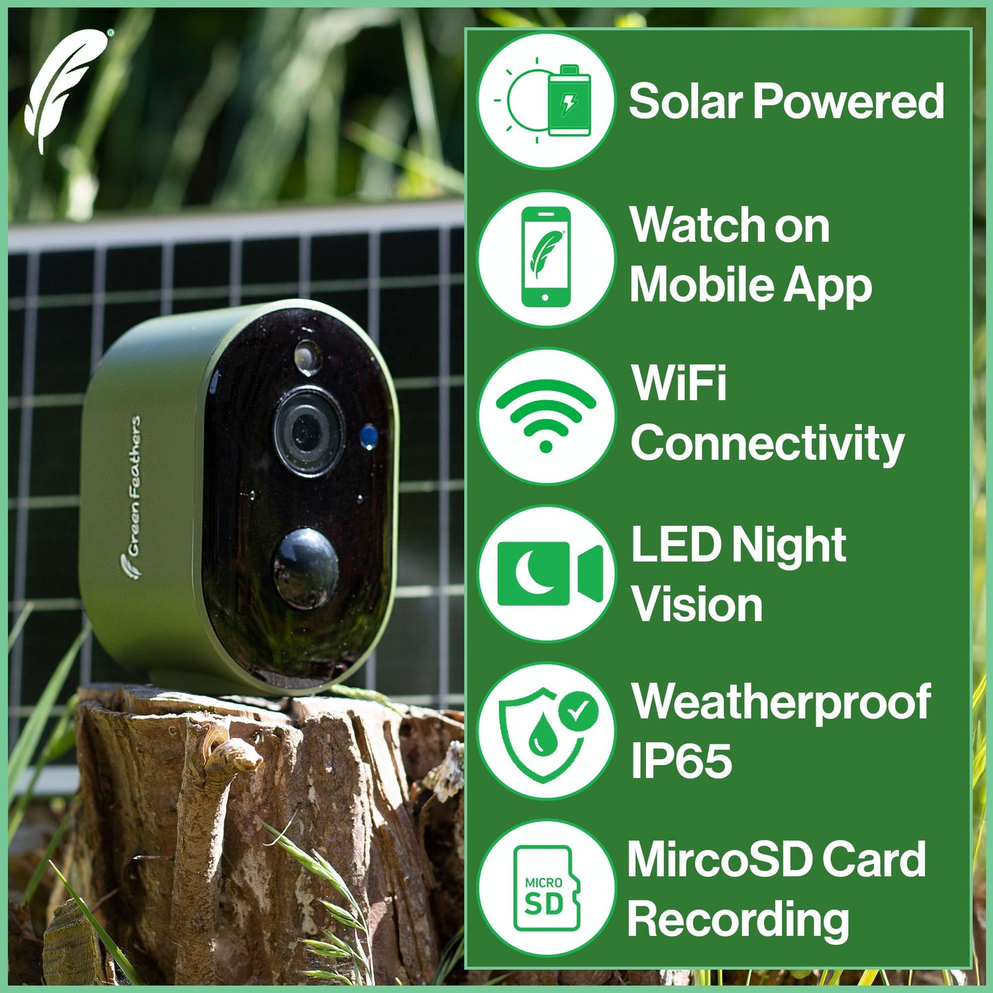 Solar Powered WiFi Bird Box HD Camera Complete Pack