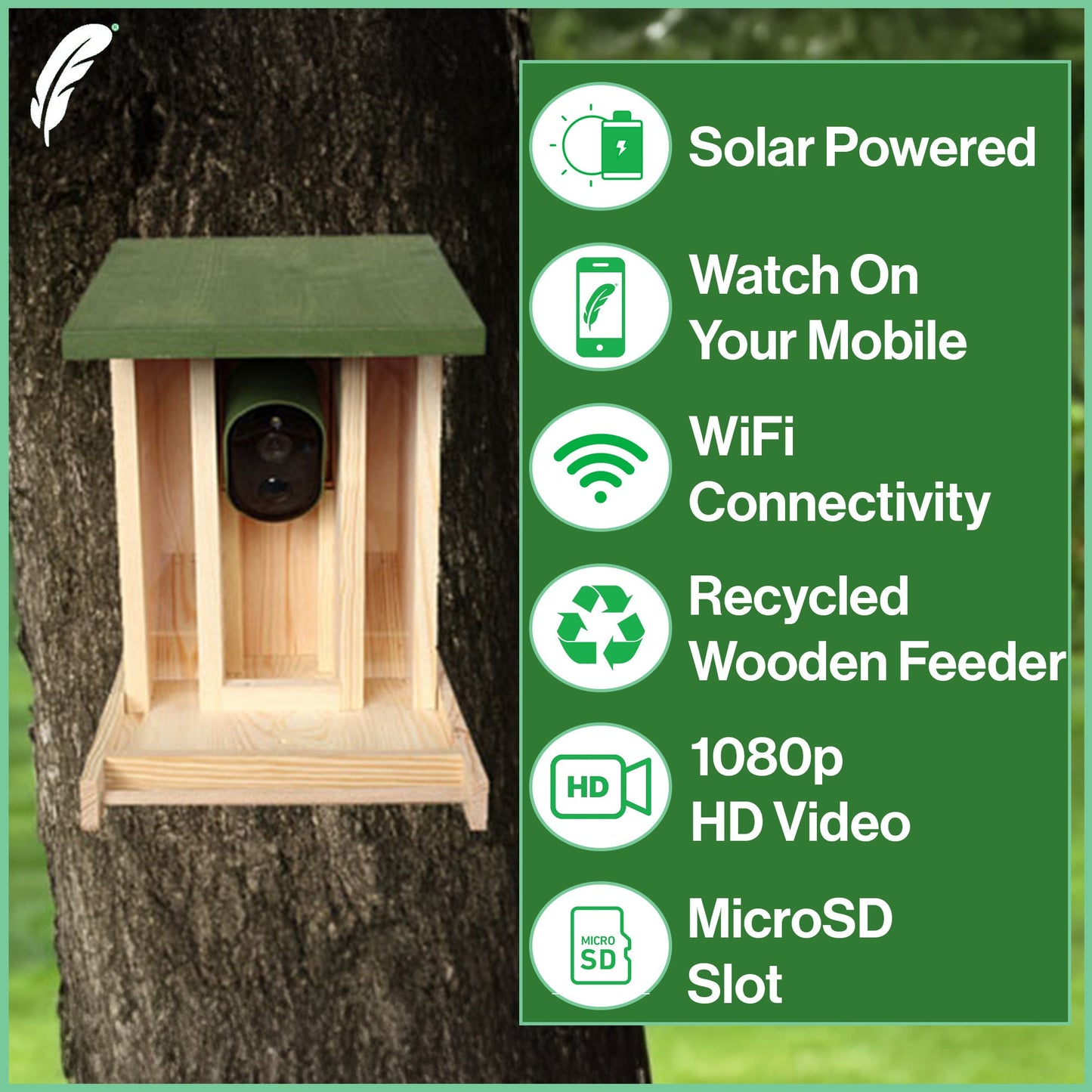 Solar Powered WiFi Camera Wooden Bird Feeder Kit