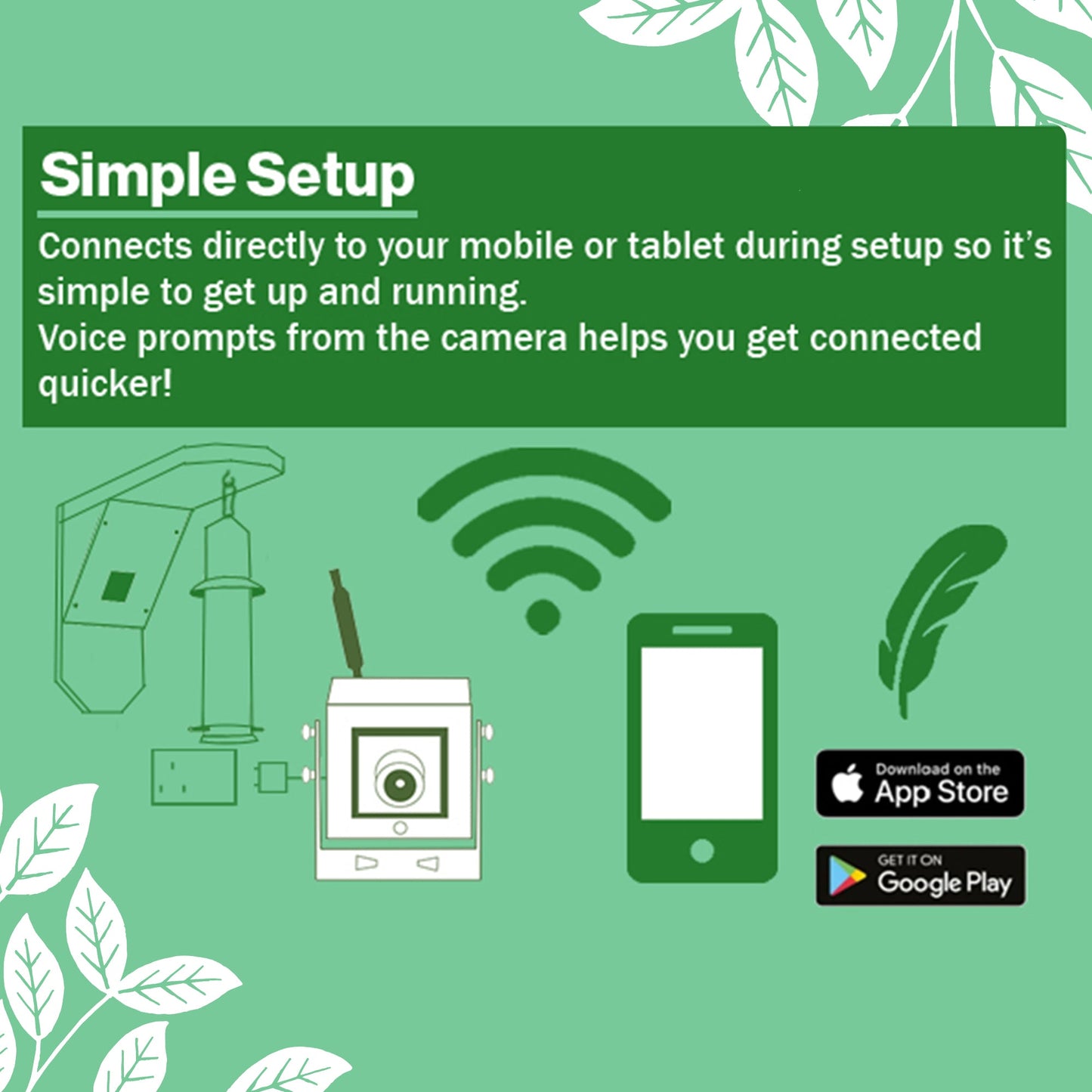 WiFi Bird Feeder HD Camera Pack