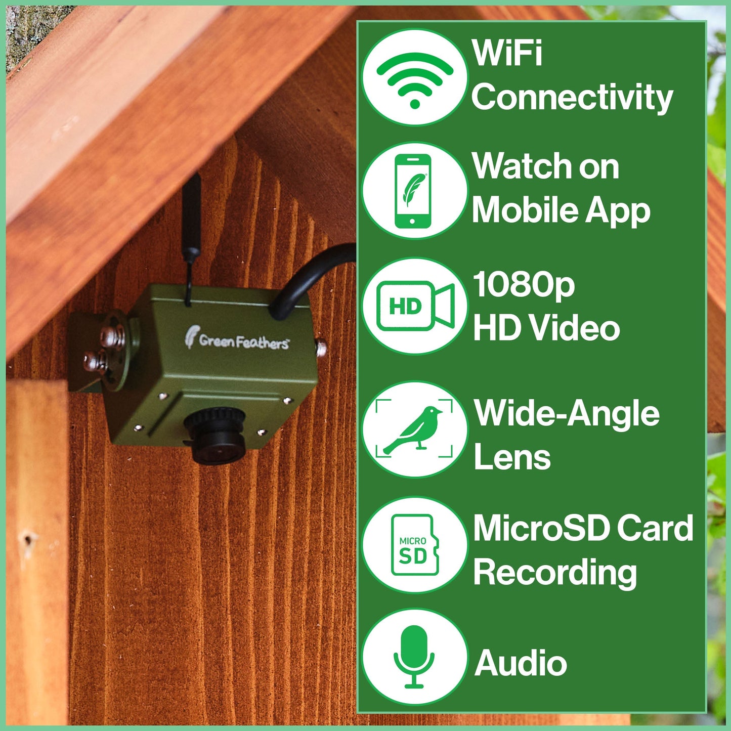 WiFi HD Camera for Bird Box & Wildlife Habitats