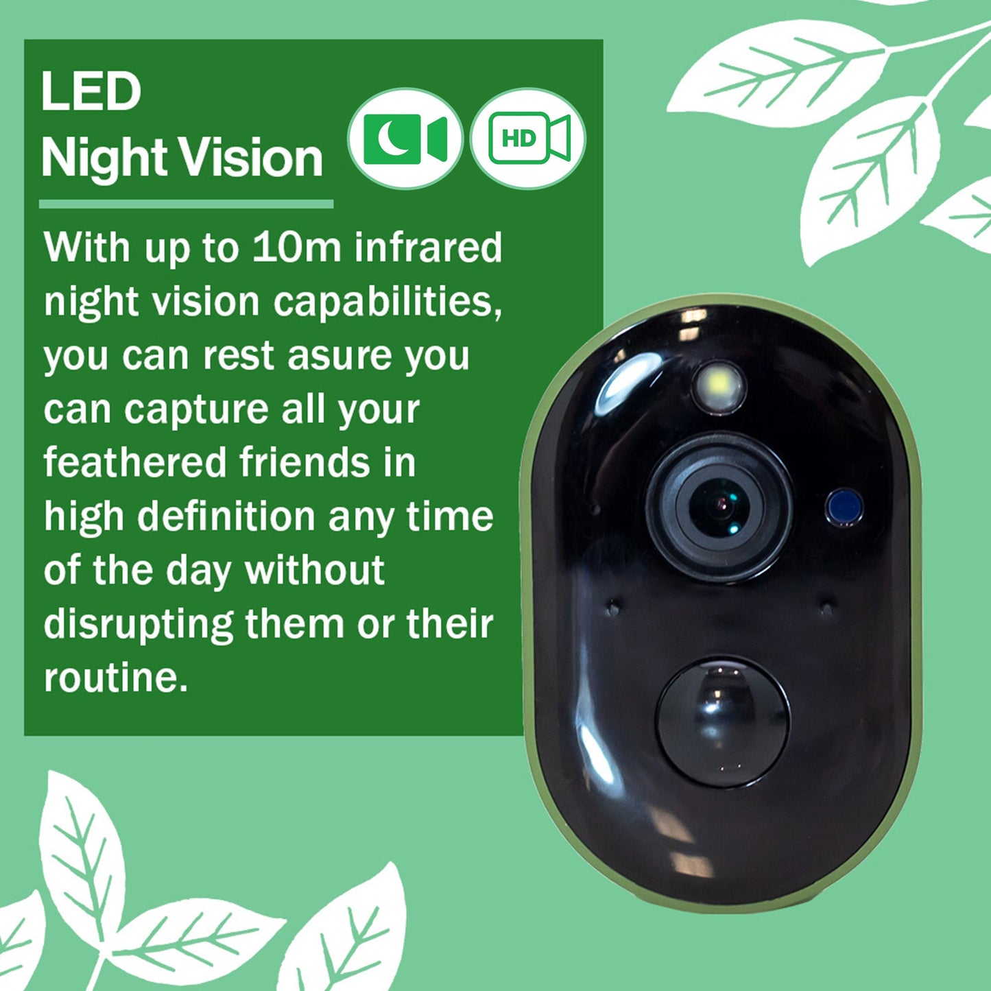 Solar Powered WiFi HD Camera for Bird Box & Wildlife Habitats