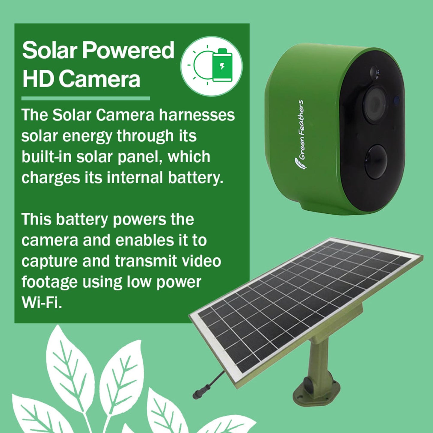 Solar Powered WiFi HD Camera for Bird Box & Wildlife Habitats
