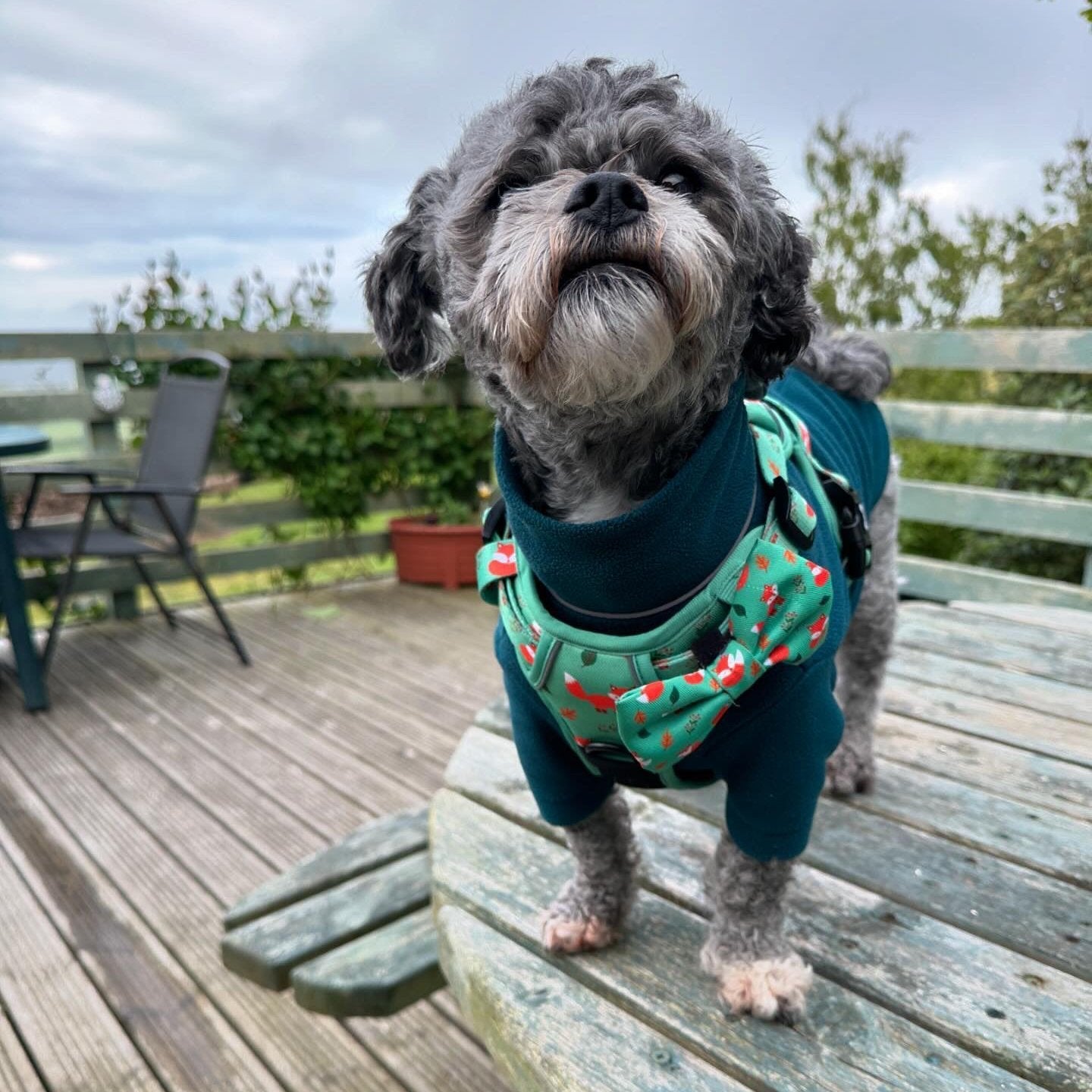 Inquisitive Fox No Pull Tactical Dog Harness – Green Fox Print, Adjustable, Step-In (XS-XL)