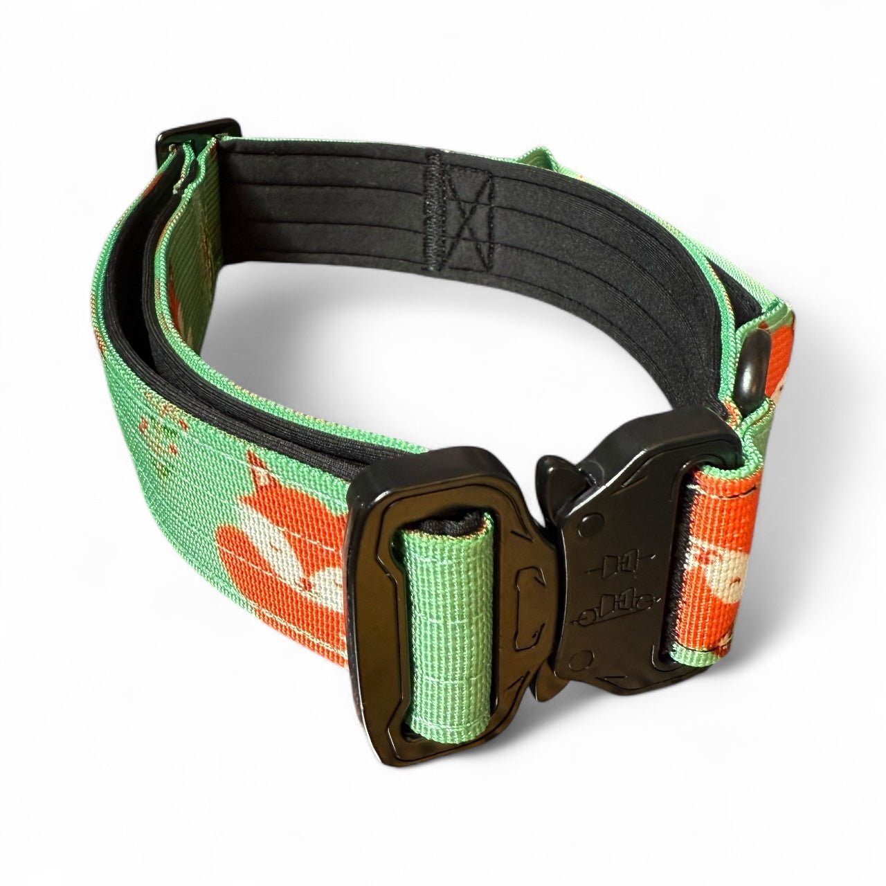 Inquisitive Fox Tactical Dog Collar